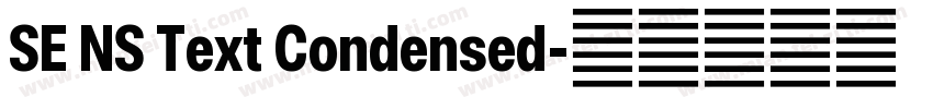 SE NS Text Condensed字体转换